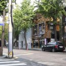 가로수길 이미지