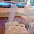 신흥로5L | 부천대게 게와 함께 여러가지를 맛볼 수 있는 어서오시게 신중동점