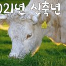 삼학사로34앞 이미지