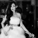 오종선 카카오 검색결과