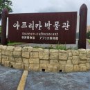 아프리카박물관 이미지