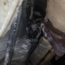 전일카센타 이미지