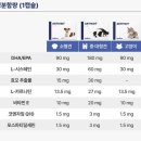 양파이야기미용실 | 고양이 영양제 추천 노령묘 벳플러스 엑티베이트 먹여본 후기