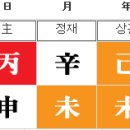 대한여행사주 - 성남시 분당구 황새울로360번길 42 | 대한여행사주