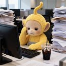 도니도니 이미지