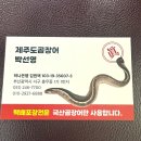 자갈치산꼼장어&소곱창 | 부산 꼼장어 맛집 자갈치시장 제주도 내돈내산 현지인 추천