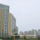 반도유보라아이비파크2단지경로당 네이버블로그