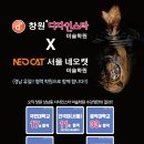 네오캣미술학원 - 성남시 분당구 성남대로 345 | 네오캣미술학원