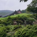 구포3동-8 이미지
