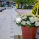 들마을공원 이미지