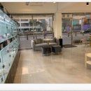 빼로독 강아지분양 의정부본점 이미지