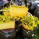 포항대학교 꽃 차 마이스터 2급 모집 이미지