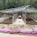 황고개농장 이미지