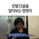 모텔알