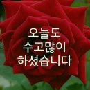 ♧6월 8일 늦은 오늘의 주요 뉴스♧ 이미지