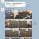 아따멍멍 미용앤호텔 이미지