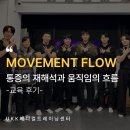 올바른 움직임 연구소 | 트레이너도 몰랐던 '움직임의 진짜 원리' — 무브먼트 플로우 강의 후기