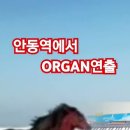 SORTS 영상 이미지