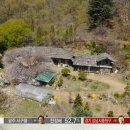 자연愛가 이미지