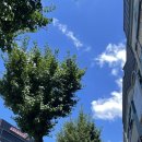 우지 커피<전북 남원점> 이미지