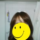 손미용실 - 강릉시 | 손미용실