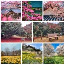 성경종합정비 이미지