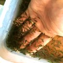 피쉬스토어 이미지