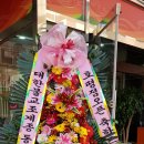 메기한마당 Daum카페