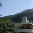 장군차산들농원농업회사법인(주) | 부산 근교 녹차밭, 김해 산들농원 장군차 (30분거리🚗)