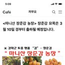 강화 장준감묘목 공구 (1명 1주) 이미지