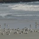 제주 올레길 7코스 이미지