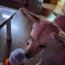 이솔팜빌리지 소리재 이미지