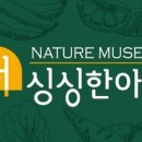 싱싱한아침