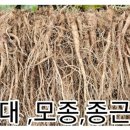 용한농장 이미지