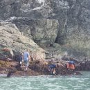 진도향기특산품 이미지