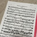 체코소년합창단 보니푸에라 내한 청주공연 | 올해본공연정산합니다