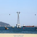 산드라니 네이버블로그