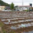 용수농장 이미지