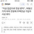 D00433 이미지
