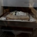 포포즈 반려동물장례식장 화성점 이미지