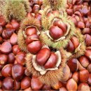 공주친환경밤협동조합 이미지