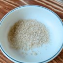 느티나무골 이미지