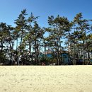 해송 - 보령시 해수욕장6길 28 | 해송