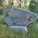 유수지공원 유아숲체험원 이미지