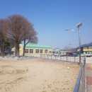 심원초등학교병설유치원 이미지