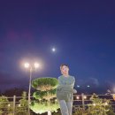 코코아린