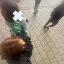 현대문구사 | 출동 리락쿠마 프렌즈! !