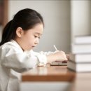 옵티크 네이버블로그