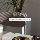 컵넛 진주초전점