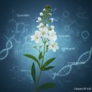 상현한방병원 이미지